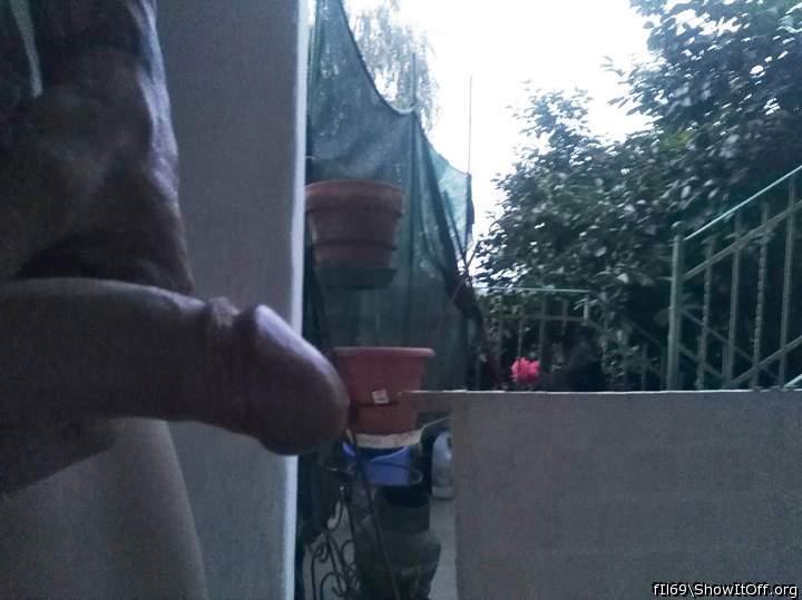 Adult image from fIl69