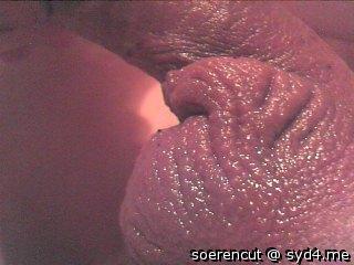 Adult image from Soerencut