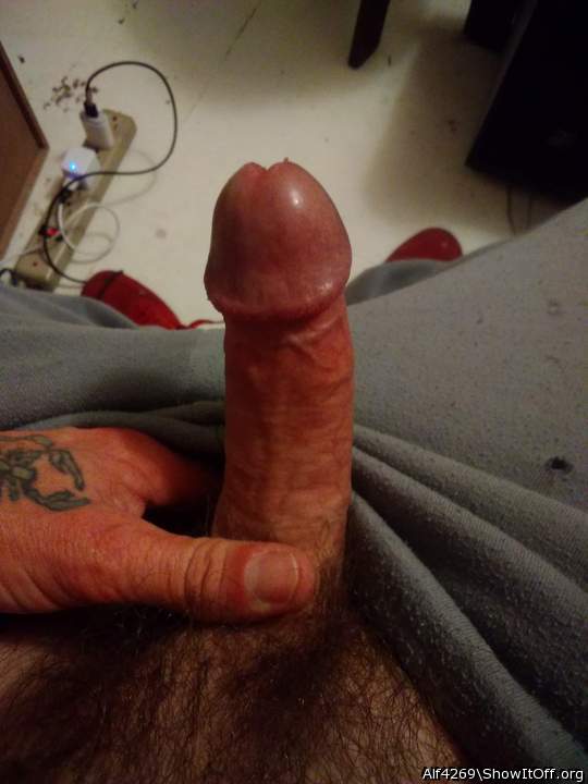 Adult image from Alf4269