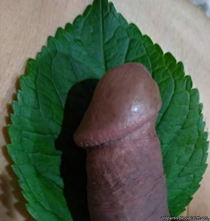 Adult image from oldper69