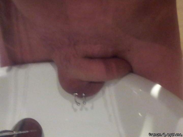 Adult image from Frenum