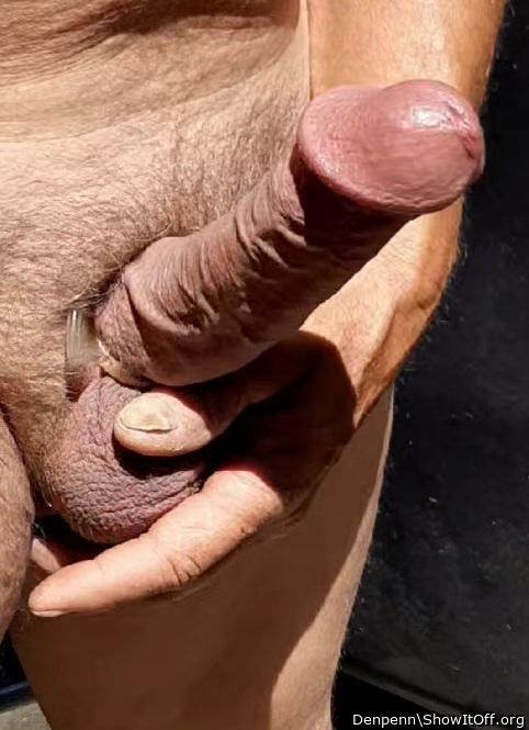 Adult image from Denpenn