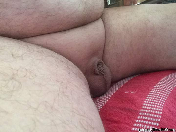 Adult image from jobleau