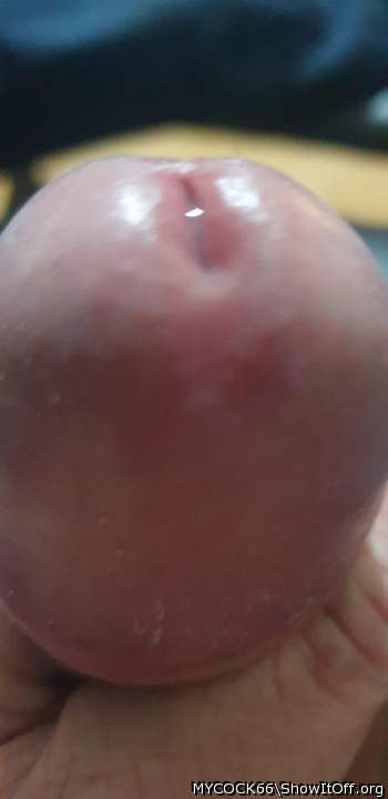 Adult image from MYCOCK66