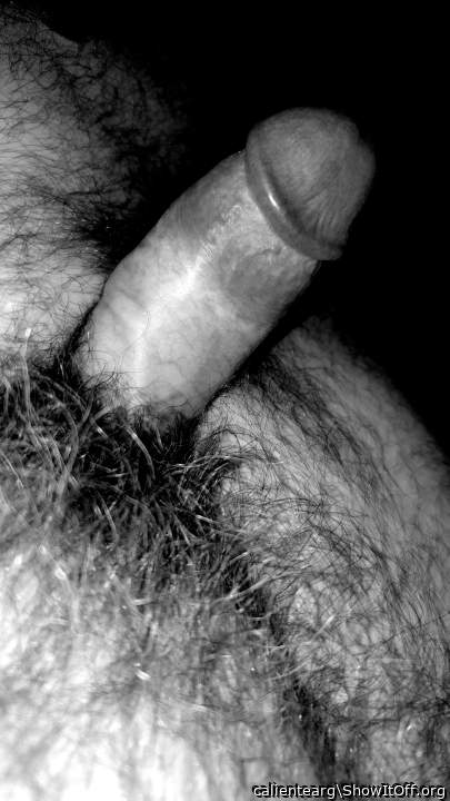 Adult image from calientearg