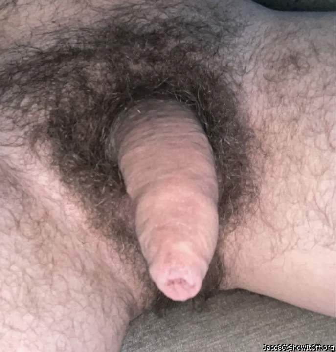 Adult image from Jaco86