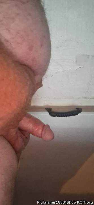 Adult image from Pigfarmer1980