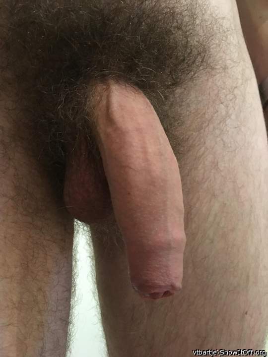 You have a timelessly classic looking cock and balls.

You