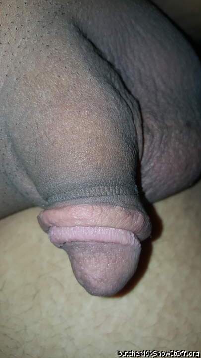 Adult image from butcher49