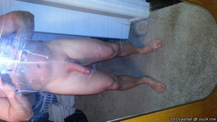 Adult image from Hornyashell