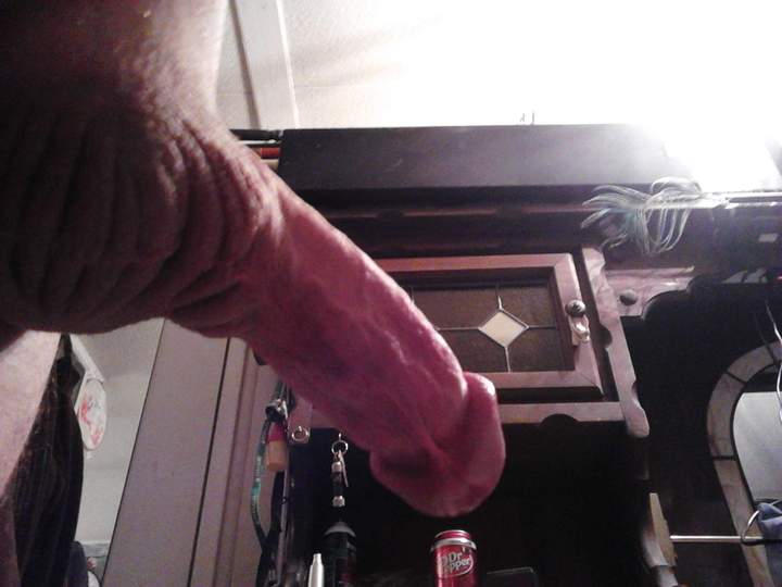 Adult image from fish4free