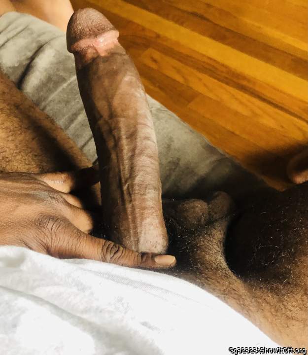Adult image from Cg32323