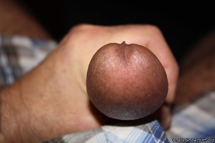 Adult image from Anass