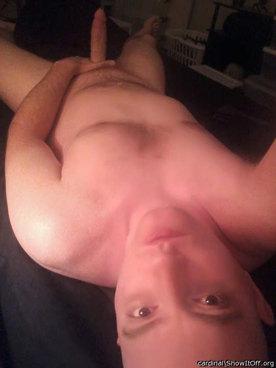 Adult image from cardinal