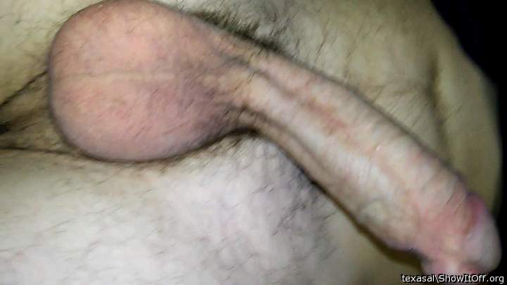 Adult image from texasal