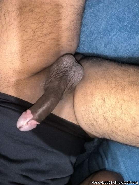 Adult image from Honeybug01