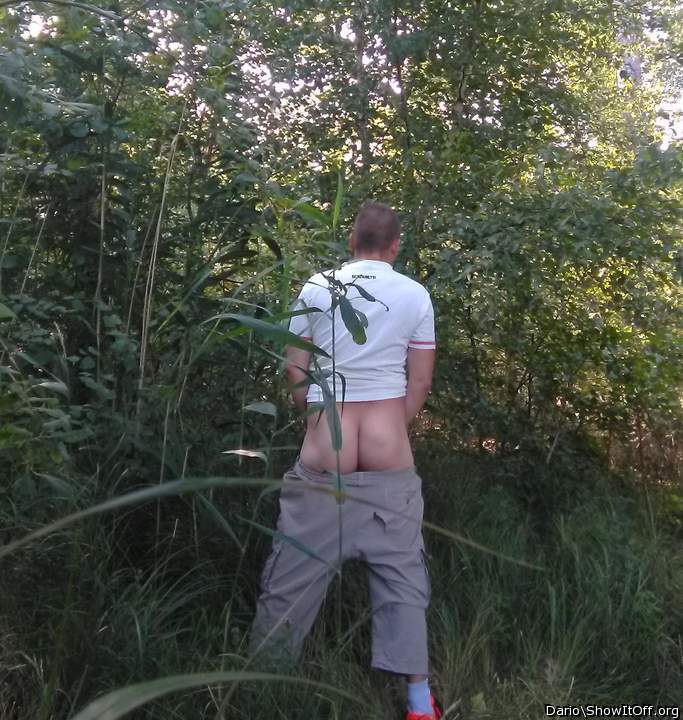 Adult image from Dario
