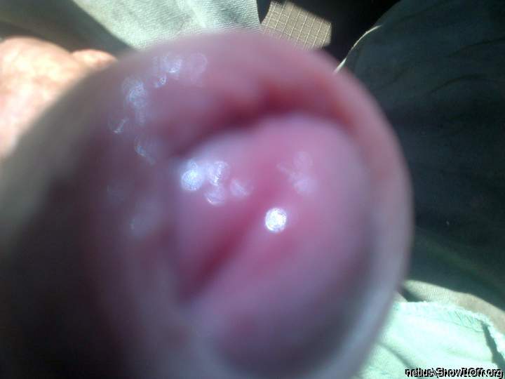 Adult image from netlus