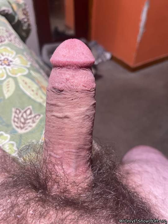 Morning fun