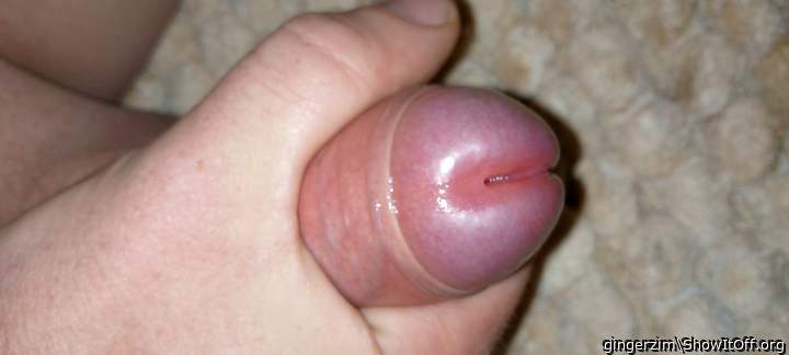 Adult image from gingerzim