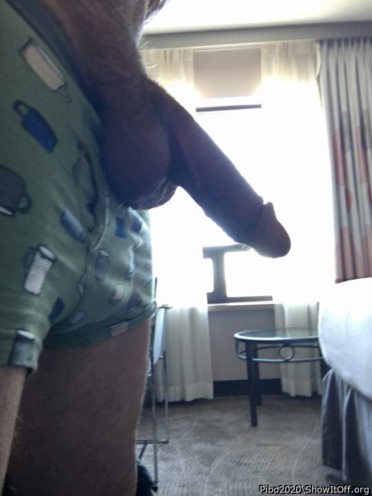 Adult image from Pibo2020