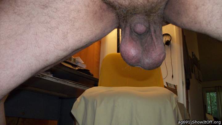 I am in love with the low hangers.