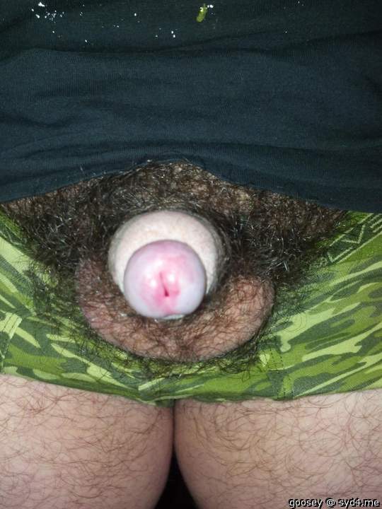 Adult image from Goosey