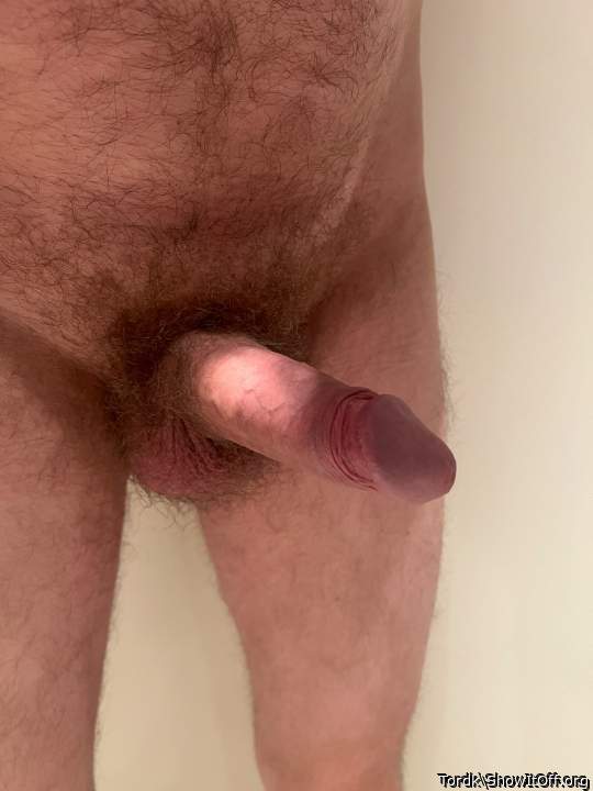 Adult image from Tordk