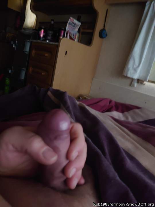 Adult image from Rob1988farmboy