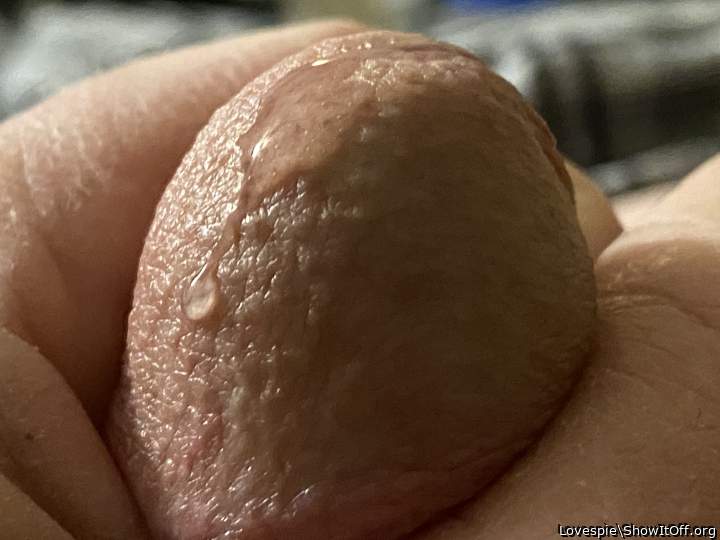 Adult image from Lovespie