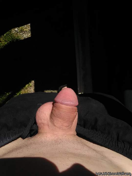Adult image from bela36