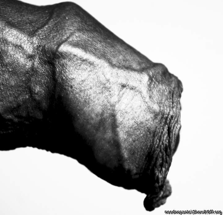 Adult image from neednopants