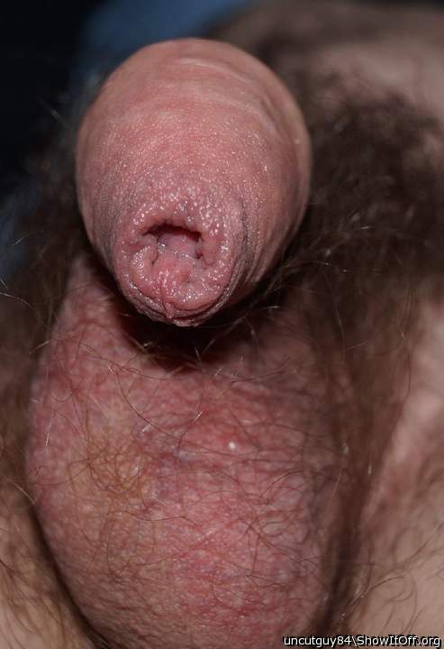 Adult image from uncutguy84