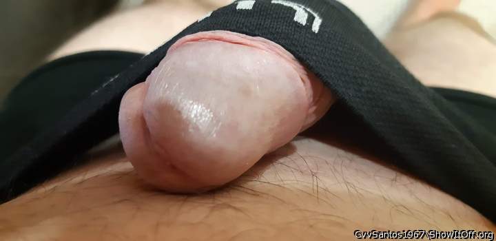 Adult image from CvvSantos1967