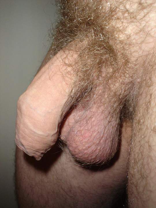 My little, hairy dick!
