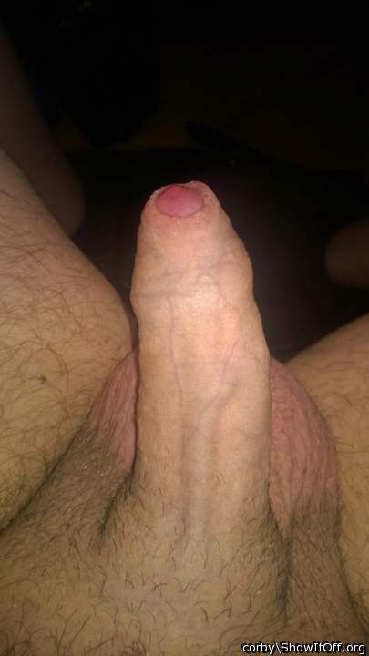 Adult image from corby