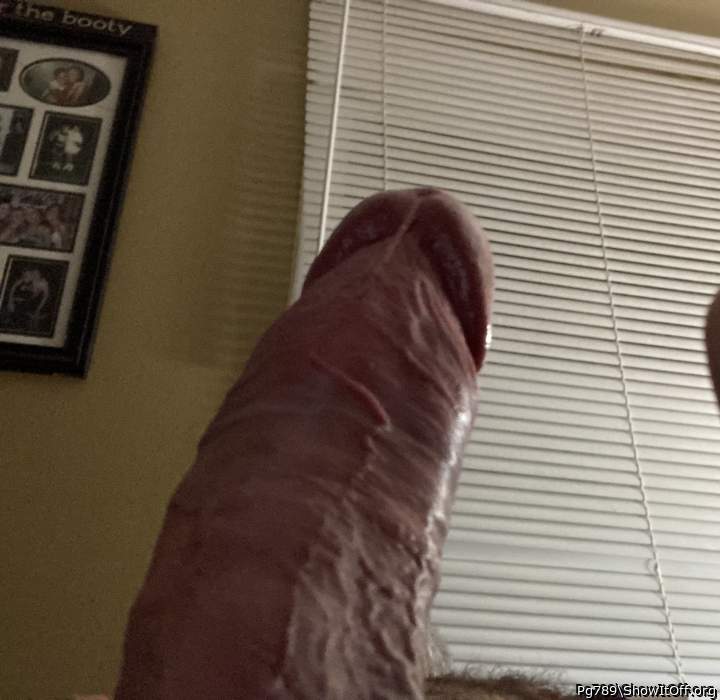 Adult image from Pg789