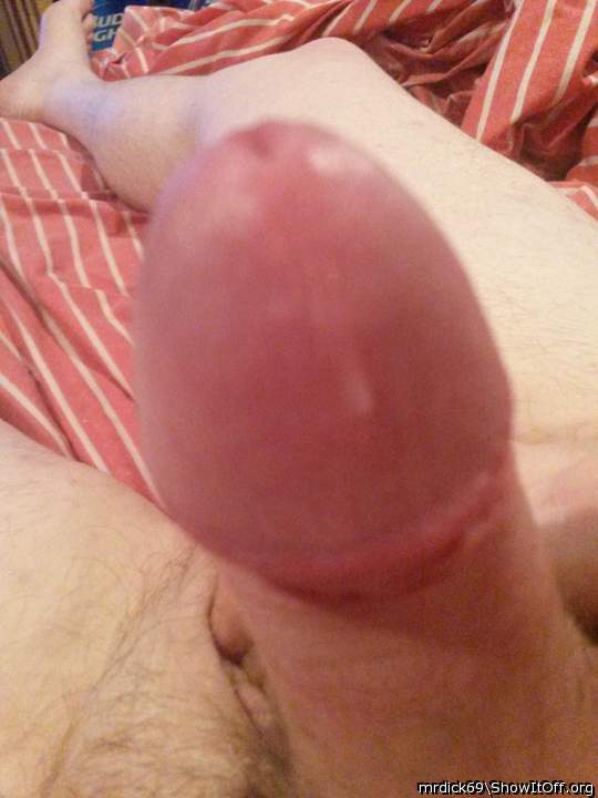 Adult image from MRDICK69