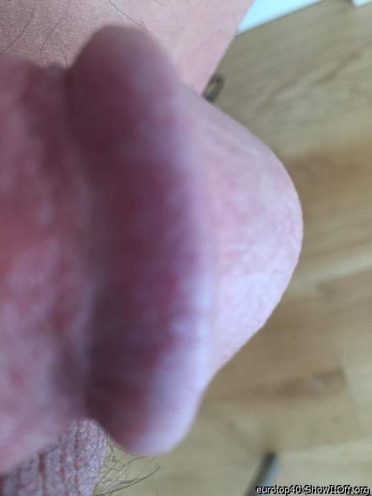 Adult image from eurotop40