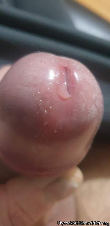 Adult image from MYCOCK66