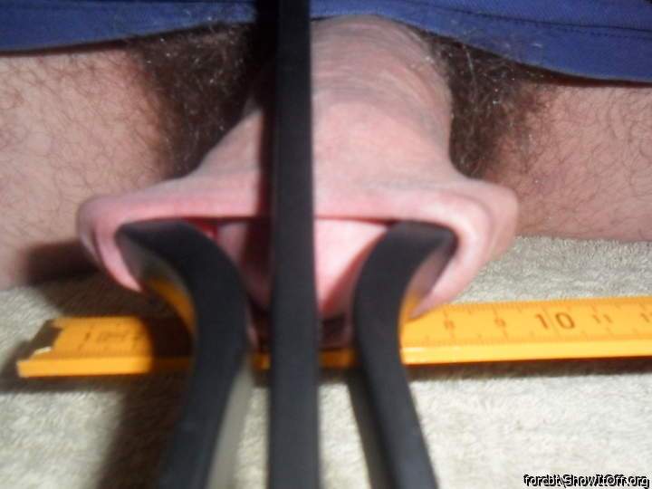 Adult image from forcbt
