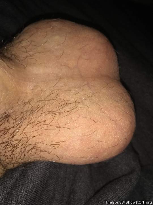 Adult image from Tnelson88