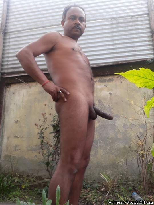 Adult image from Animesh