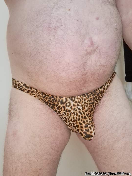 Leopard 🐆