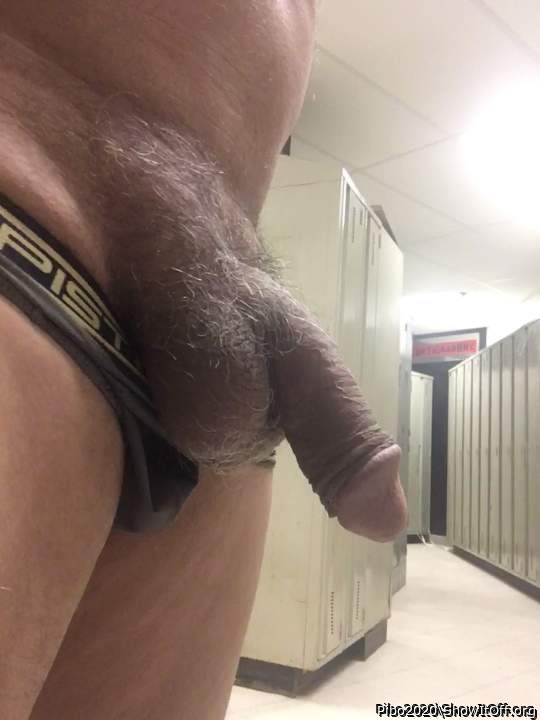 Adult image from Pibo2020