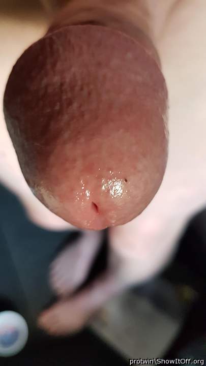 Adult image from protwin