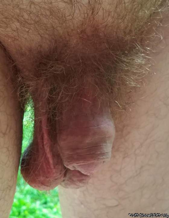 nice soft dick 