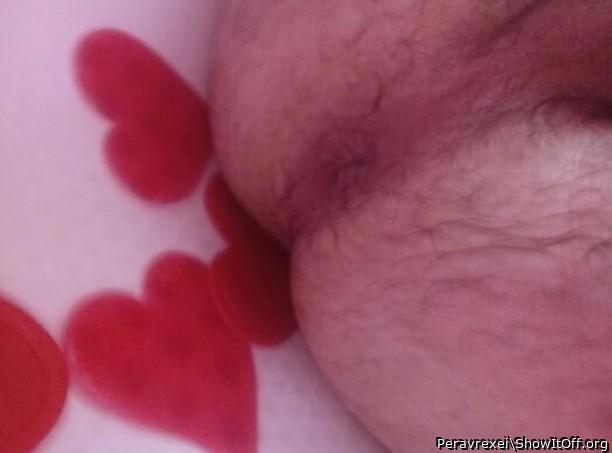 Adult image from Peravrexei