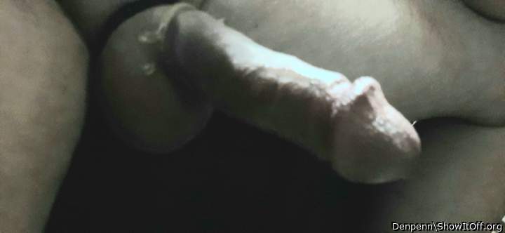 Adult image from Denpenn