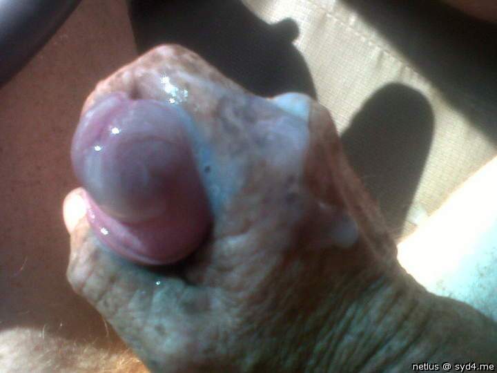 Adult image from netlus